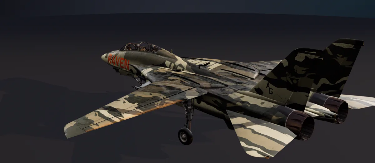 F-14B(U) com camuflagem tigre e o nome R4VEN no nariz